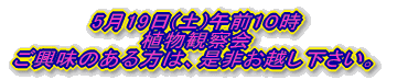 6月4日(土)・5日(日) 山野草展開催 2日間ビジターセンター内に山野草を 展示いたします。 ご興味のある方は、是非お越し下さい。