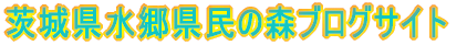 錧̐XuOTCg
