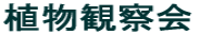 Aώ@