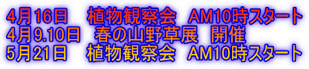 416@ Aώ@@AM10X^[g 49.10@t̎R쑐W@J 521@ Aώ@@AM10X^[g