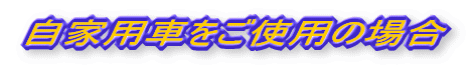 ƗpԂgp̏ꍇ