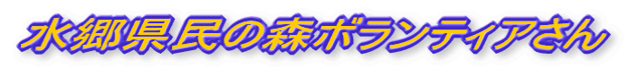 ̐X{eBA
