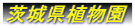錧A