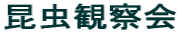 ώ@